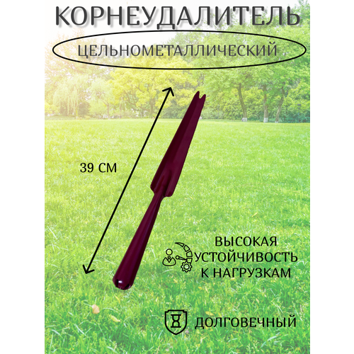 ���� �������������� ������ ��� ���� � �������/��������� �������� �������������������, ������ �� 406 ���