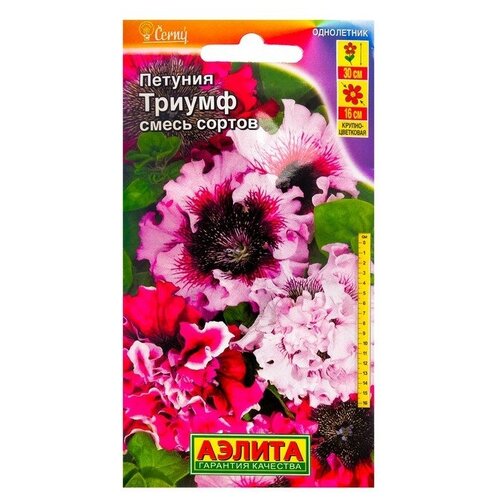 ���� ������ ������ ������� 