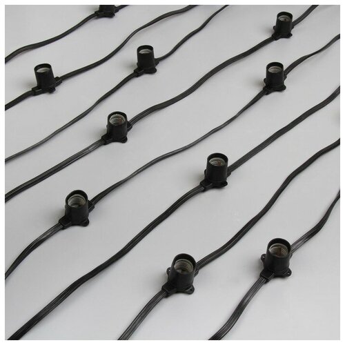 ���� �������� 