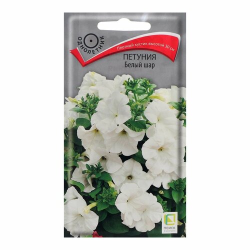 ���� ������ ������ ������� 