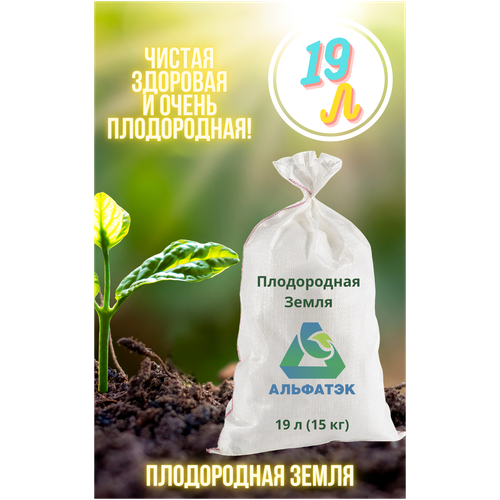 ���� ����������� �����, Alfatek, 19 � (15 ��), ������ �� 1499 ���