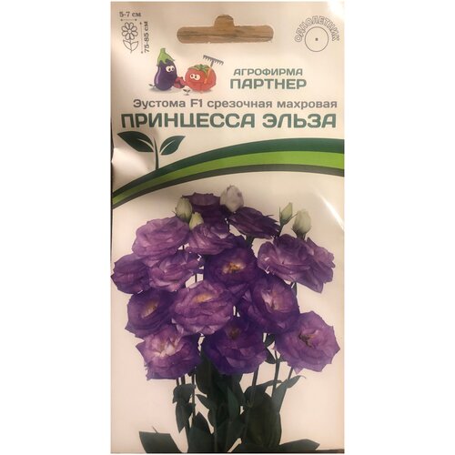 ���� ������ ������� ��������� �������� ��������������� 