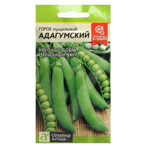 ���� ������ ����� 