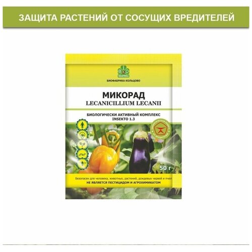 ���� ������� ������� 1,3 50�����, ������ �� 545 ���