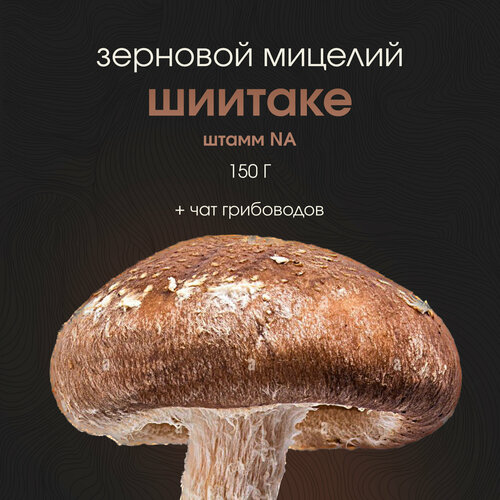 ���� ������� �������. ������ ������. ��������, ������ �� 499 ���