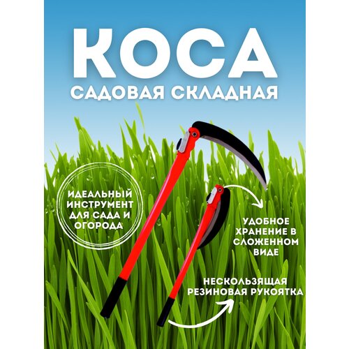 ���� ���� ��� ����� ��������, ������ �� 359 ���