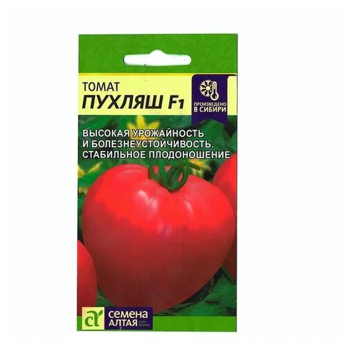 ���� ������ ����� ������ F1, 1 �������� 5 �� �����, ������ �� 270 ���