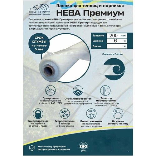 ���� ������ ���� ������� 200 ���, 5 ��� ��� ������, 6*2 �����. �����������, ������������, ������������� ������ ��� ������ � ��������., ������ �� 1900 ���