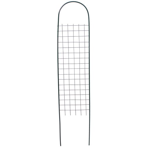 ���� ������� 