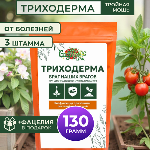 ���� ���������� 3 ������, 130�, ������ �� 299 ���