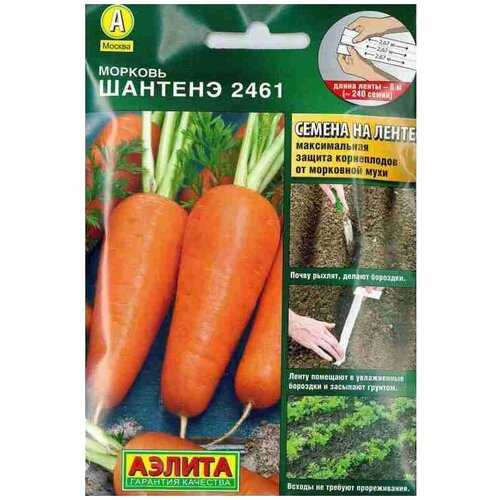 ���� ������ ������� ������� 2461 �� ����� ( 1 �������� * 8� ), ������ �� 245 ���