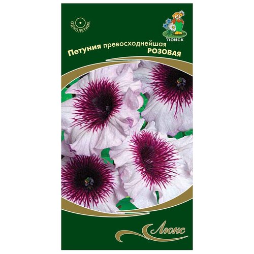 ���� ������ ����� ���� ������� ��������������� ������� 10 ��., 2 ��., ������ �� 97 ���