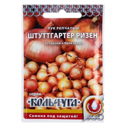 ���� ������ ��� �������� 