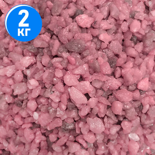 ���� ����������� ����� ��� ��������, ����������� � ��������, Zoo One, ��������� ��������, 