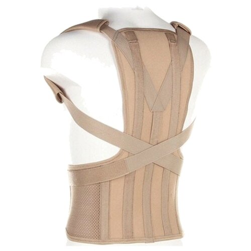 ���� ��������� ������ ORTO �� 110, ������ M2, ���� 170-180, �������, ������ �� 4392 ���