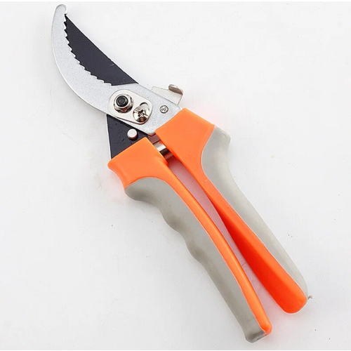 ���� ������� ������, �������������, �������. �����., ������ �� 277 ���