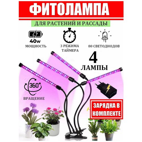 ���� ��������� ��� �������� � �������. ����� ��� �������� ������������ � ��������� � �������� ���������� ������ ������ 4�10 (40 ��) �� �������� ABBA., ������ �� 1545 ���