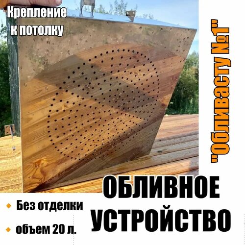 ���� �������� ���������� 