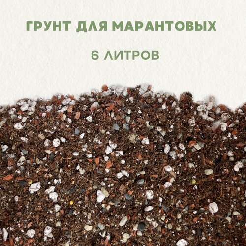 ���� ����� ��� ������� , ��� ��������. ������������� ����� ��� ����������. ����� ��� ������ ��������� . 6 ������., ������ �� 1885 ���