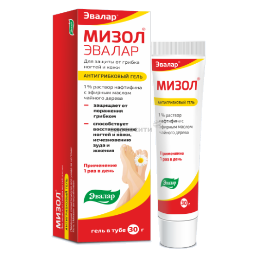 ���� ����� ����, 30 �, 30 ��, ������ �� 538 ���