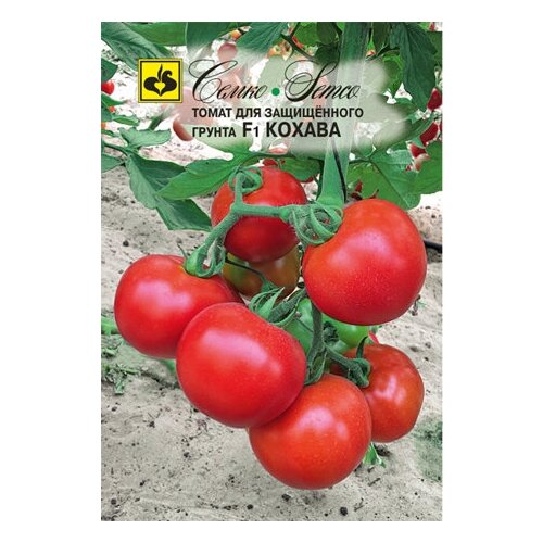 ���� ������ ����� ������ F1 5�� ����� ������ (�����), ������ �� 203 ���