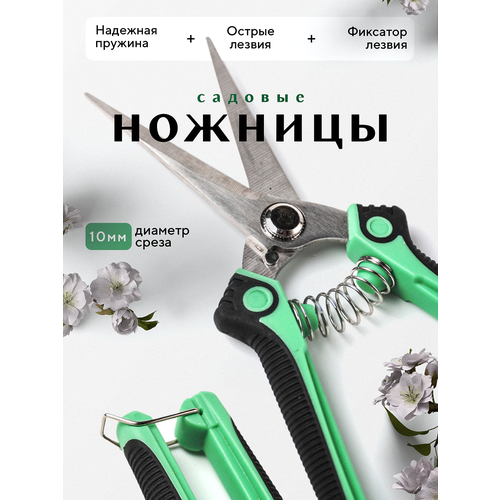 ���� ������� ������� ������������, ������� ��� ����, ������, �������, ������ �� 351 ���