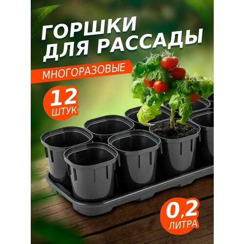        200 12,  60034,   730 