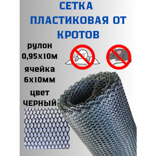 ���� ����� �� ������ ����������� ������ 6*10 ��, ����� 1�10 ������, ��������� ����������������. ������, ������ �� 2169 ���