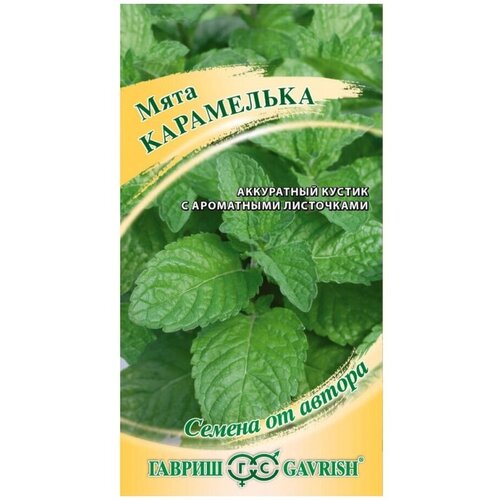 ���� ���� ����������, ������ �� 46 ���