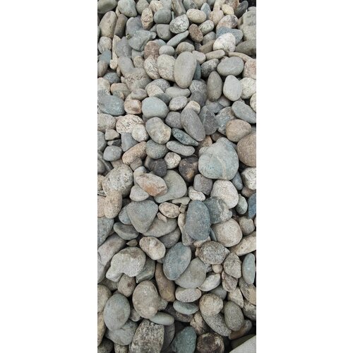 ���� ������ ������������(�������) 20-40�� (20��) ��� ��������� � ������� ��������, ������ �� 1890 ���