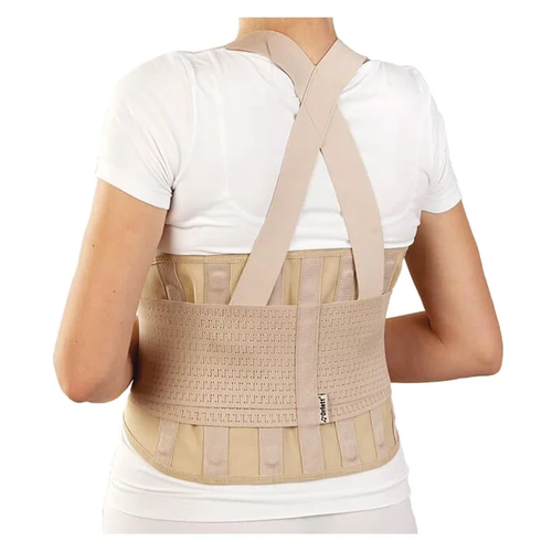 ���� ������ Orlett IBS-3006, ������ XL, ���� �������������, ������ 24 ��, �������, ������ �� 7366 ���