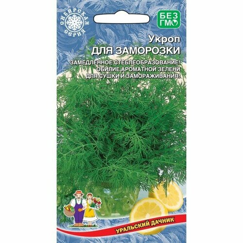 ���� ������ ������ ��������� ������ 