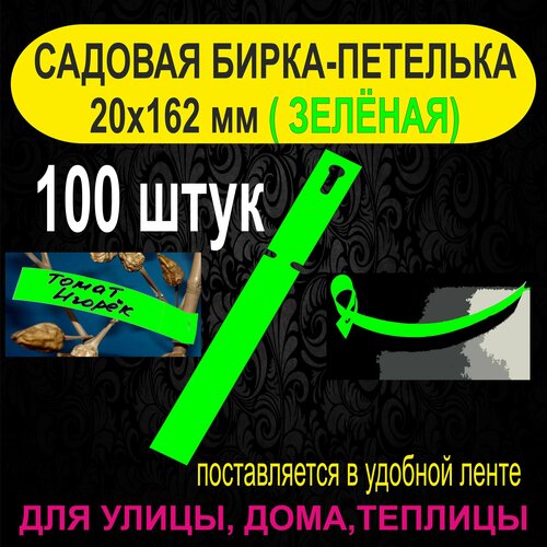 ���� ������� �����-�������� 20x162 ��. 100 ���� (������), ������ �� 350 ���