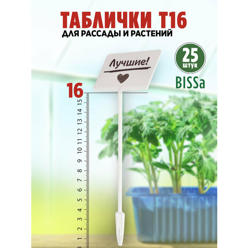       , Bissa 16, , 25 ,   655 