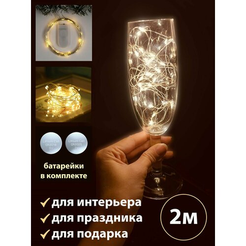 ���� �������� 