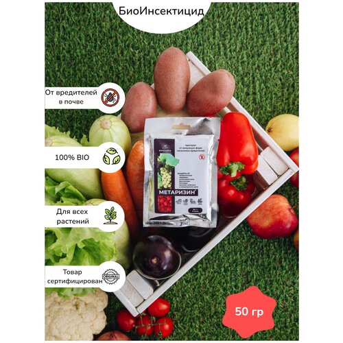 ���� ���������, ������ �������� �� �������� ���� ���������-����������, ������ �� 220 ���