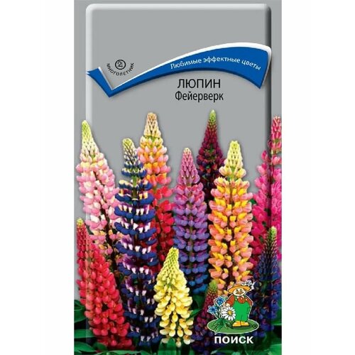 ���� ����� 