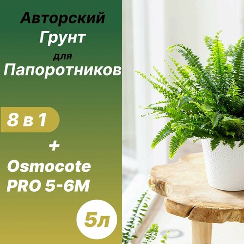 ���� ����� ��� ������������, ������ �� 640 ���