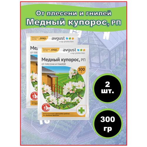 ���� ������ ������� (������� ����) 