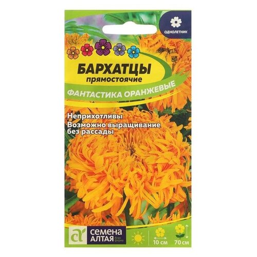 ���� ������ ������ �������� 