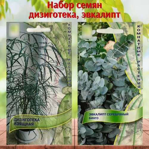 ���� ������ ������ ��� ���� �������� � ���������� ����� 2 ��., ������ �� 350 ���