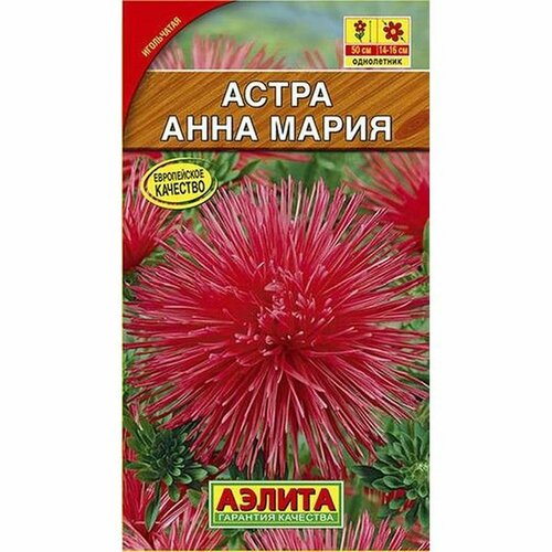 ���� ������ ����� ���� �����, ����������, (������) 0,2�, ������ �� 50 ���