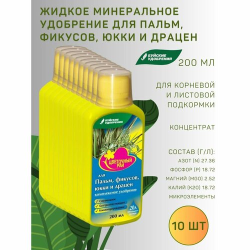 ���� ��� 