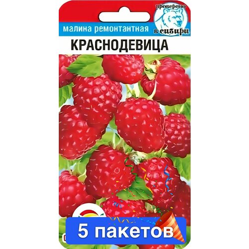 ���� ������ ������ ��������� ��� 