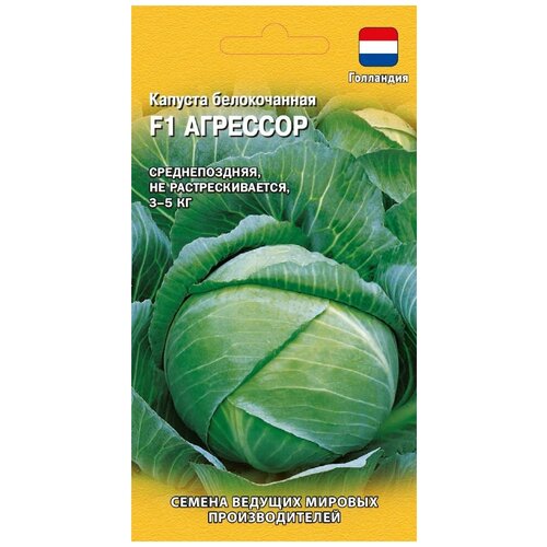 ���� ������� ������������ �������� F1, ������ �� 94 ���