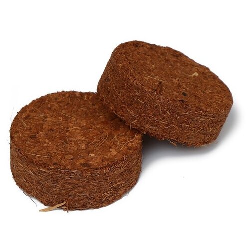 ���� Greengo �������� ��������� 4 �� ��� ��������, 4 ��, 10 ��., ����������, ������ �� 172 ���