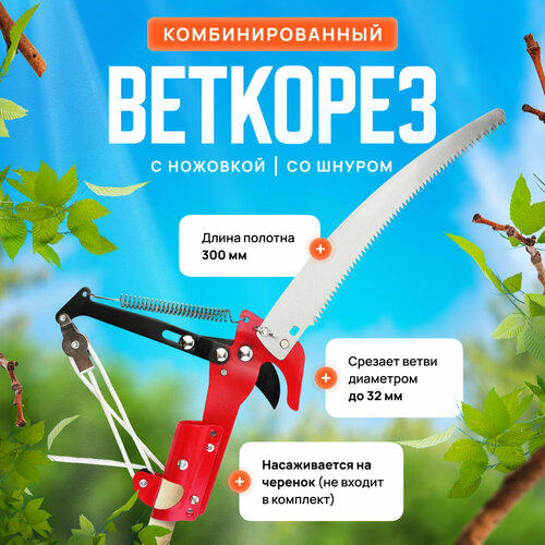 ���� ������� ��������� �������� ��� ��������, ��������� ������� �� ������ �������, ������ �� 895 ���