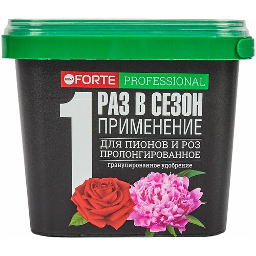 ���� ��������� ���� ����� ��� ������ � ��� � ��������, 1 �, ������ �� 558 ���