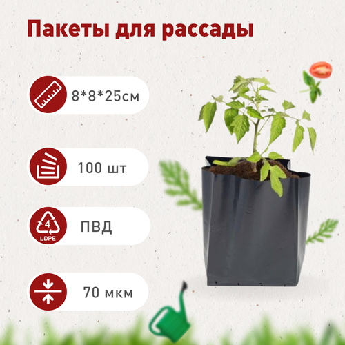 ���� ����� ��� ������� 1,3�, 100 ��., ������ �� 447 ���