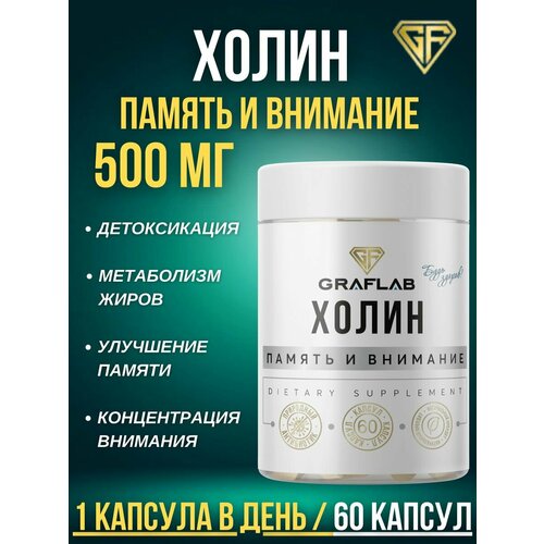 ���� ����� (Choline), ������� �4, 500 ��, 60 ������, ������ �� 437 ���
